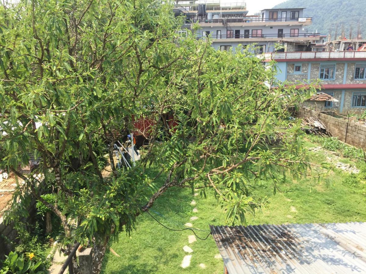 Nepalaya Eco Hostel Pokhara Exterior foto